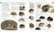 Natural History by DK, Smithsonian Institution, 9780744035018