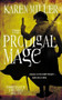 The Prodigal Mage by Karen Miller, 9780316076401