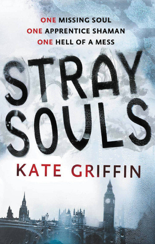 Stray Souls by Kate Griffin, 9780316187268