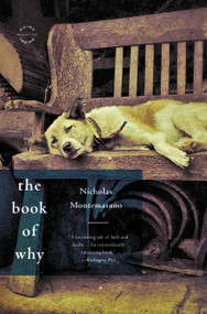 The Book of Why (A Novel) by Nicholas Montemarano, 9780316188463