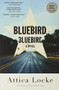 Bluebird, Bluebird by Attica Locke, 9780316363273
