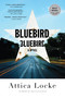Bluebird, Bluebird by Attica Locke, 9780316363273