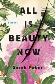All Is Beauty Now by Sarah Faber, 9780316394963