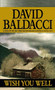 Wish You Well by David Baldacci, 9780446527163