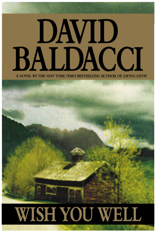 Wish You Well by David Baldacci, 9780446527163