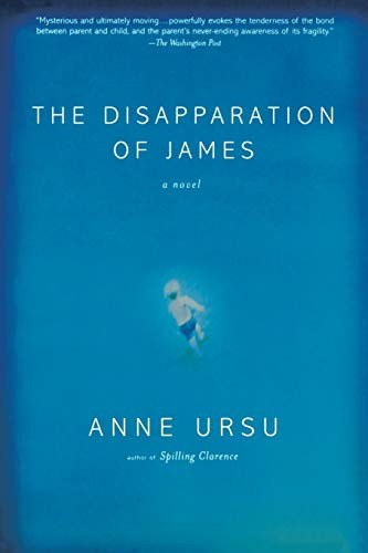 The Disapparation of James - 9780786886630 by Anne Ursu, 9780786886630