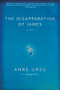 The Disapparation of James - 9780786886630 by Anne Ursu, 9780786886630