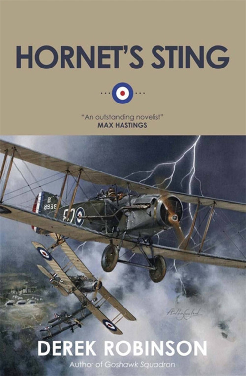 Hornet's Sting by Derek Robinson, 9780857052254