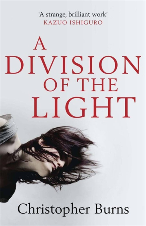 A Division of the Light by Christopher Burns, 9780857386366