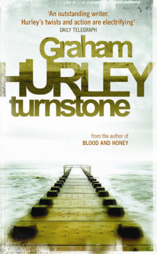 Turnstone by Graham Hurley, 9781409120056