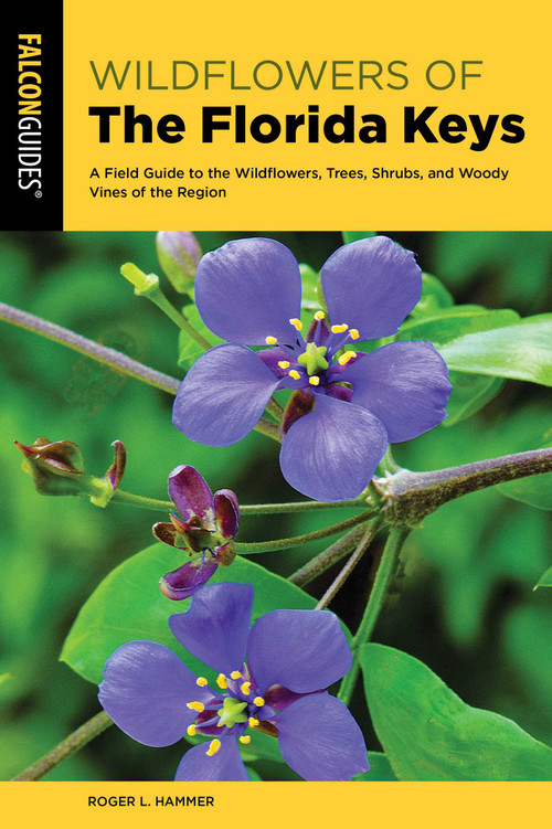 Wildflowers of the Florida Keys by Roger L. Hammer, 9781493062119