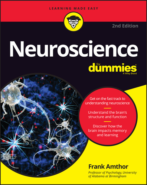 Neuroscience For Dummies by Frank Amthor, 9781119224891