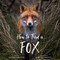 How to Find a Fox - 9780762471355 by Kate Gardner, Ossi Saarinen, 9780762471355