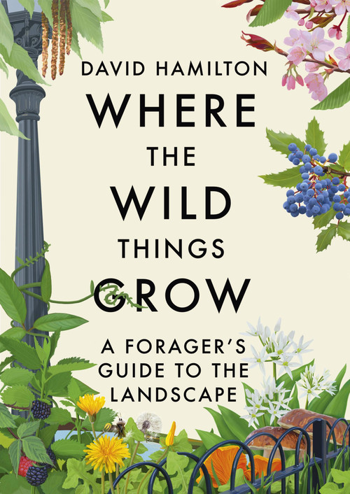 Where the Wild Things Grow (A Forager's Guide to the Landscape) by David Hamilton, 9781529351057