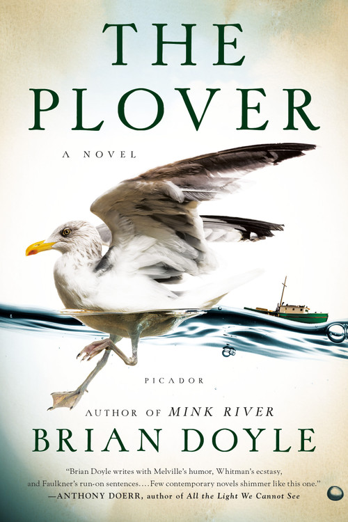 The Plover (A Novel) by Brian Doyle, 9781250062451