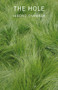 The Hole - 9780811228879 by Hiroko Oyamada, David Boyd, 9780811228879