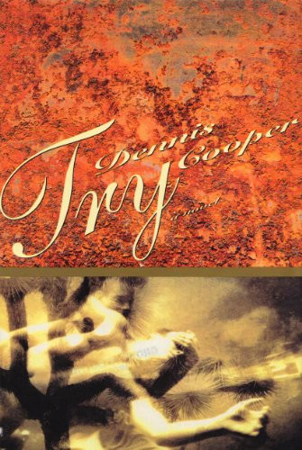 Try by Dennis Cooper, 9780802133380