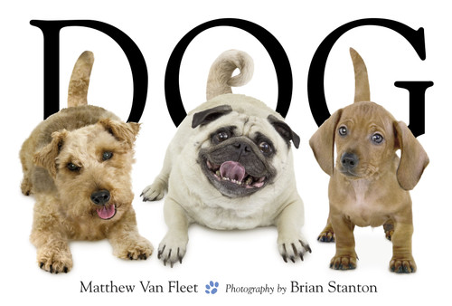Dog by Matthew Van Fleet, Brian Stanton, 9781416941378