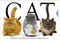 Cat - 9781416978008 by Matthew Van Fleet, Brian Stanton, 9781416978008