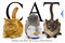 Cat - 9781416978008 by Matthew Van Fleet, Brian Stanton, 9781416978008