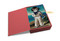 Cats in Art (Notecard Box) by Susan Herbert, 9780500420270