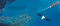 Ducks Overboard!: A True Story of Plastic in Our Oceans by Markus Motum, Markus Motum, 9781536217728