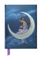Jean & Ron Henry: Moon Maiden (Foiled Journal) by Flame Tree Studio, 9781783611843