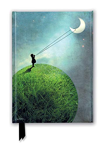 Catrin Welz-Stein: Chasing the Moon (Foiled Journal) by Flame Tree Studio, 9781787555563