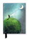 Catrin Welz-Stein: Chasing the Moon (Foiled Journal) by Flame Tree Studio, 9781787555563