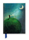 Catrin Welz-Stein: Chasing the Moon (Foiled Journal) by Flame Tree Studio, 9781787555563