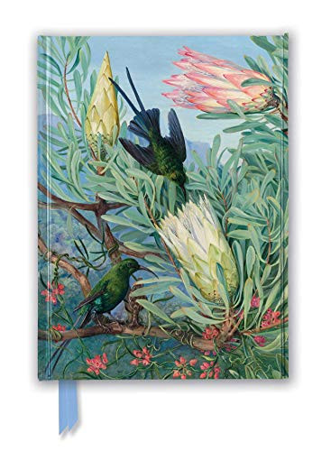 Kew Gardens' Marianne North: Honeyflowers and Honeysuckers (Foiled Journal) by Flame Tree Studio, 9781787558069