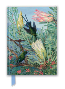 Kew Gardens: Marianne North: Honeyflowers and Honeysuckers (Foiled Journal) by Flame Tree Studio, 9781787558069