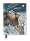Angela Harding: Shooting Stars (Foiled Journal) by Flame Tree Studio, 9781787558281