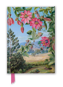 Kew Gardens: Marianne North: View in the Brisbane Botanic Garden (Foiled Journal) by Flame Tree Studio, 9781787558298