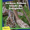 Burmese Pythons Invade the Everglades by Susan H. Gray, 9781534187023