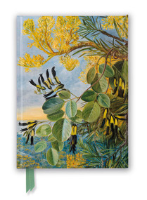 Kew Gardens: Marianne North: Flowers of the Flame-Tree and Yellow and Black Twiner, West Australia (Foiled Journal) by Flame Tree Studio, 9781839644672