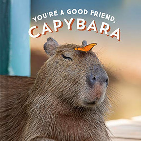 You're a Good Friend, Capybara by Chronicle Books, 9781797210575