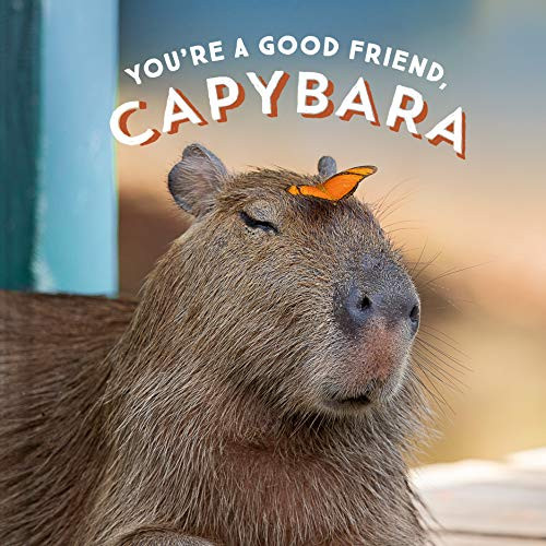 You're a Good Friend, Capybara by Chronicle Books, 9781797210575