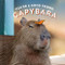 You're a Good Friend, Capybara by Chronicle Books, 9781797210575