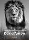 David Yarrow (How I Make Photographs) by David Yarrow, 9781913947101