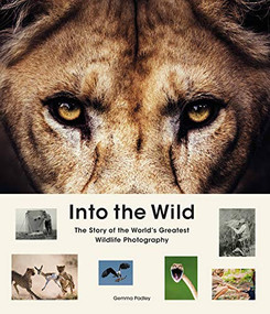 Into the Wild (The Story of the World's Greatest Wildlife Photography) by Gemma Padley, 9781913947484