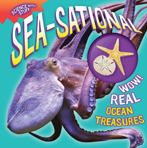 Sea-Sational by Allyson Kulavis, 9781935703556