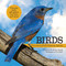 Birds (Discovering North American Species) - 9781486713721 by Shirley Raines, Curt Hart, 9781486713721