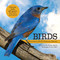 Birds (Discovering North American Species) - 9781486713721 by Shirley Raines, Curt Hart, 9781486713721