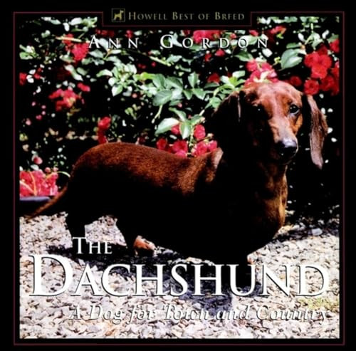The Dachshund (A Dog For Town and Country) by Ann Gordon, 9781582451589