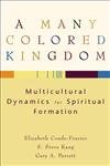 A Many Colored Kingdom (Multicultural Dynamics for Spiritual Formation) by Elizabeth Conde-Frazier, S. Steve Kang, Gary A. Parrett, 9780801027437
