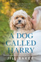 A Dog Called Harry by Jill Baker, 9780733642678
