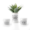 I Could Really Use A Drink Planter w/ Drip Tray, 9780735368781