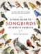 A Field Guide to Songbirds of North America (A Visual Directory of 100 of the Most Popular Songbirds) by Noble S. Proctor, 9780785839477