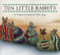 Ten Little Rabbits - 9780811821322 by Virginia Grossman, Sylvia Long, 9780811821322